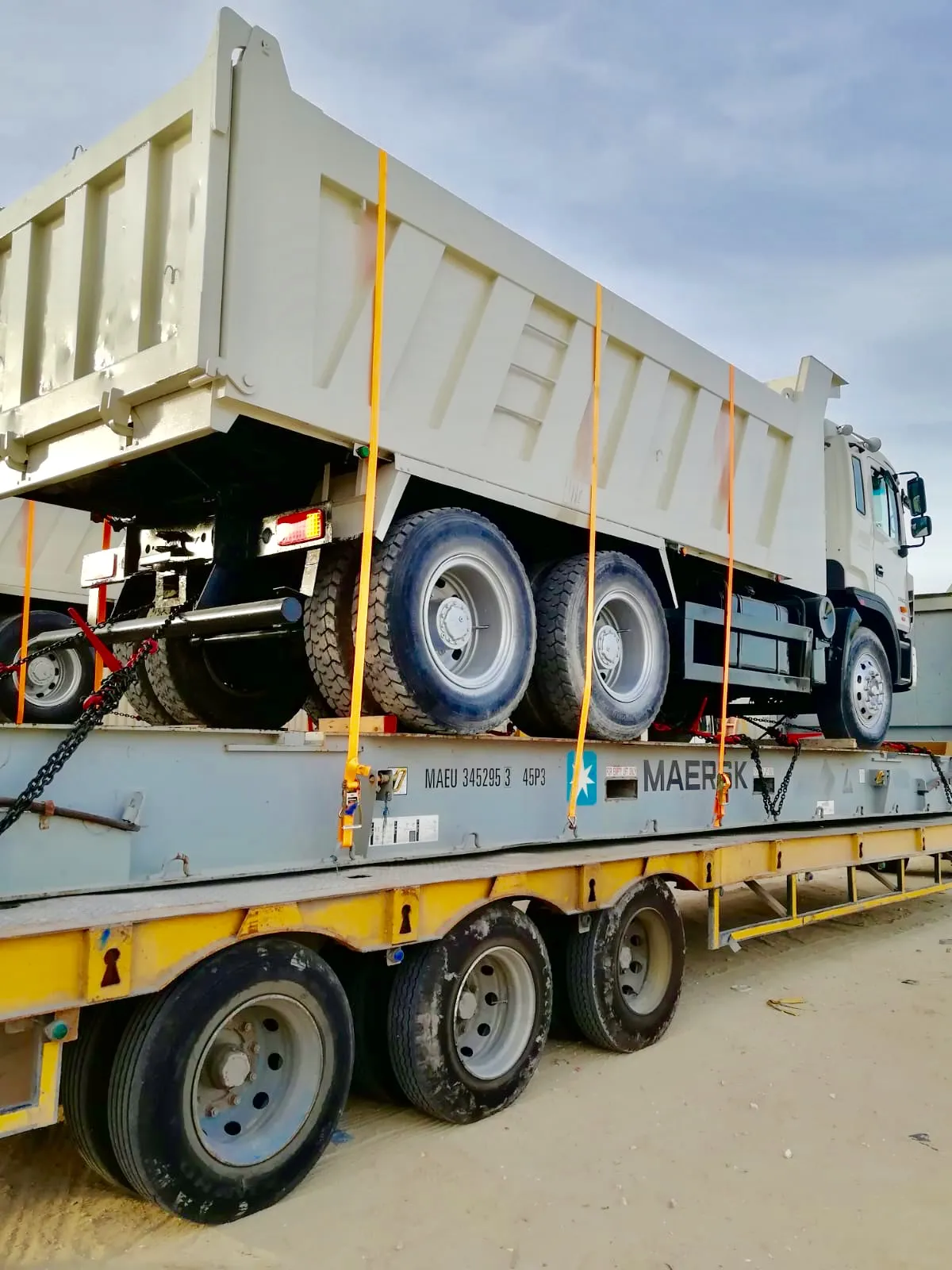 47436 tms diecast display