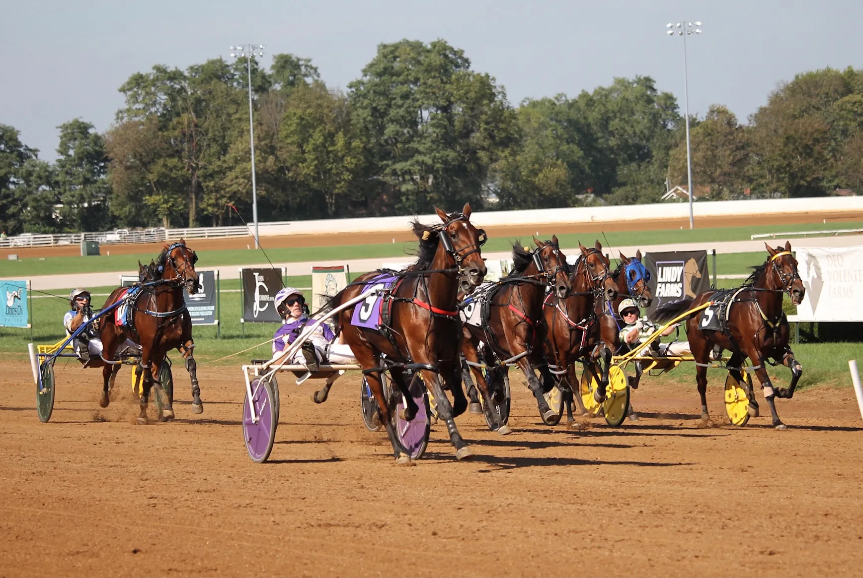 47460 practicing diecast racing